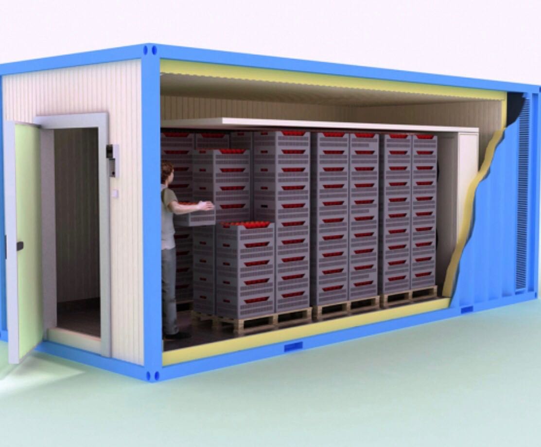 集装箱式速冻机/移动式速冻库 20英尺和 40英尺 集装箱速冻机